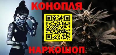 стаф Шелехов