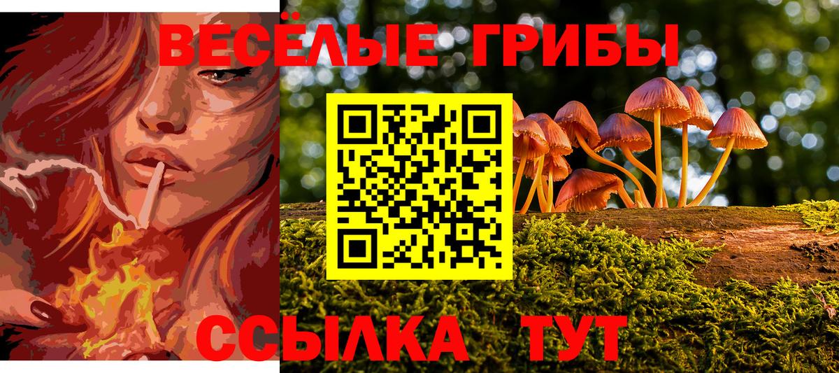 Отрадный  Галлюциногенные грибы MAGIC MUSHROOMS  Вход с VPN  Псилоцибиновые грибы Psilocybine cubensis 